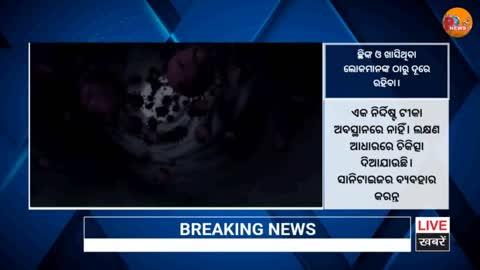 ଡରେଇଲା HMVP ପୁଣି ଲାଗିଲା ଚିନ୍ତା ମୋହନ ସରକାର ଙ୍କୁ ହେଳା କଲେ ଭେଳା ବୁଡେଇ ଦେବ