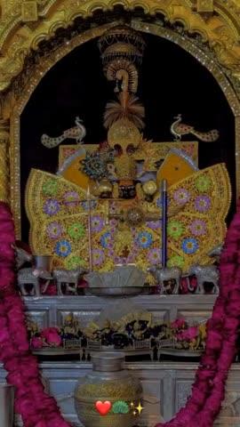 Sanvariya Seth ji ke aaj ke darshan