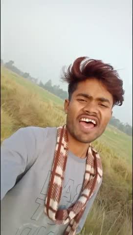 rangdari video shayari trending viral