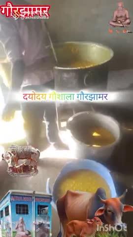 मकर संक्रांति महापर्व पर गायों की सेवा ऐसी हो तो क्या कहने!! आगे भेजकर जगाए