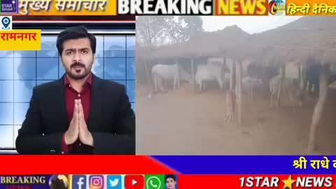 गौ माता कि रक्षा के लिए कमेन्ट करें अपनी राय दें पोस्ट करें