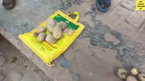 17 फरवरी 2025 आलू का भाव इस्माइलपुर बानगी सोरांव प्रयागराज ll potato rate today in imailpur bangi
https://youtube.com/@rspkissanprayagraj?si=Q8Za6URPeJI34xvE