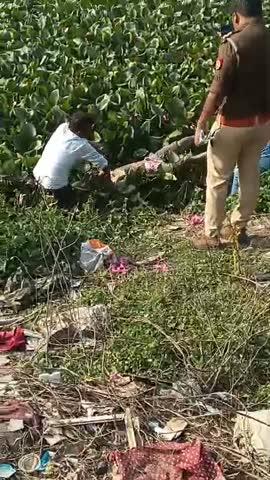 लखीमपुर खीरी से बड़ी खबर 
लखीमपुर खीरी में एक युवक का शव मिलने से सनसनी फैल गई है। युवक का नाम टिंकू है और उसका शव नौरंगा  बाद में महराज कोठी के पीछे जलकुम्भी युक्त तालाब में मिला है। परिजनों ने हत्या की आशंका जताई है और पुलिस को पहले से ही गुमशुदगी की रिपोर्ट दर्ज कराई थी।✍🏻
पुलिस ने मौके पर पहुंचकर शव को कब्जे में ले लिया है और पोस्टमार्टम के लिए भेज दिया है। पुलिस का कहना है कि पोस्टमार्टम रिपोर्ट आने के बाद आगे की कार्रवाई की जाएगी।✍🏻✍🏻✍🏻
यह घटना लखीमपुर खीरी में अपराध की बढ़ती घटनाओं को दर्शाती है, जिससे स्थानीय लोगों में दहशत फैल गई है। पुलिस को जल्द से जल्द आरोपियों को पकड़ने की मांग की जा रही है ✍🏻✍🏻✍🏻
वज़ू वज़ू पर नजर