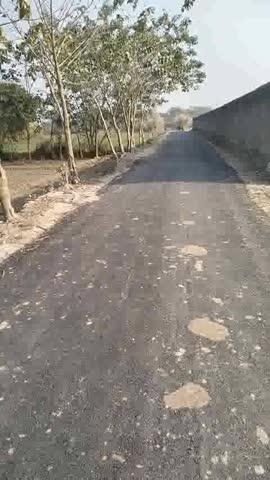 80 बीघा जमीन बिकाऊ है जिस भाई को लेना मुझसे संपर्क करिएगा 8090291079