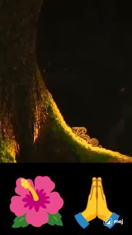 माता रानी पर यकीन रखना 🌺👣🤗