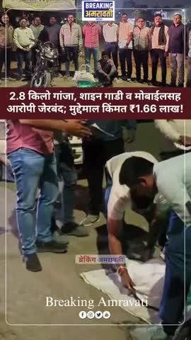 अमरावती गुन्हे शाखेची मोठी कारवाई! नागपूरी गेट परिसरातून 2.8 किलो गांजा, शाइन गाडी व मोबाईलसह आरोपी जेरबंद; मुद्देमाल किंमत ₹1.66 लाख!
#amravati #police