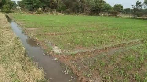 नंदलाल पुरबिया न्यू द्वारकेश न्यूज़ चैनल नांदोली राजसमंद राजस्थान द्वारा