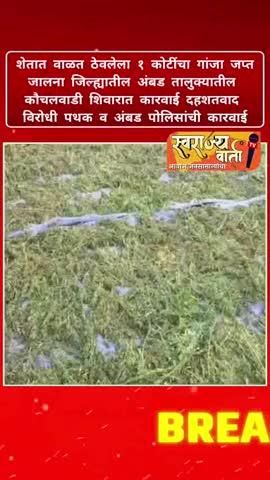 शेतात वाळत ठेवलेला १ कोटींचा गांजा जप्त
जालना जिल्ह्यातील अंबड तालुक्यातील 
कौचलवाडी शिवारात कारवाई दहशतवाद 
विरोधी पथक व अंबड पोलिसांची कारवाई