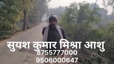 *अंबेडकरनगर में वन माफिया का कहर लगातार जारी* 
सूचना के बावजूद अधिकारियों का वन माफियाओं  के साथ सिंपैथी जारी है 
*कार्यवाही करने के बजाय बचाव कर रहे अधिकारी* 
1 महीने पूर्व दी गई थी सूचना नहीं हुई कोई कार्यवाही
*10 पेड़ के परमिशन पर लगभग ₹50 पेड़ काटकर सरकार को लगाया गया चुना वन विभाग बना सिर्फ नमूना* 
वीडियो में आप देख सकते हैं कि अकबरपुर से दोस्तपुर रोड कलावती ग्रीन होटल के पास RPRN स्कूल को जाने वाली सड़क पर लगभग 50 पेड़ के आसपास सागौन की कटाई हुई थी
*अभी एक हफ्ते पहले भी बचे खुचे कुछ पेड़ वह भी काटे गए थे जिसकी सूचना सभी वन विभाग के उच्चाधिकारियों को दी गई थी परंतु कोई कार्रवाई नहीं हुई* 
आज के पड़ताल में खुली पोल पूरा बगीचा हुआ सुनसान 
Suyash Kumar Mishra Ashu 
8755777000
9506000647
#suyashkumarmishra #ambedkarnagarpolice #explorepage #trendingreels #viralpost2025 #अंबेडकरनगर #suyashmishra #UPPolice #video #viral