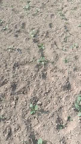 मेरी सांसों की जमावट काफी कम हुई तो मैं अपनी समस्या आप लोगों के साथ शेयर कर रहा हूं हो सकता किसी को जानकारी हो क्यों हुई है