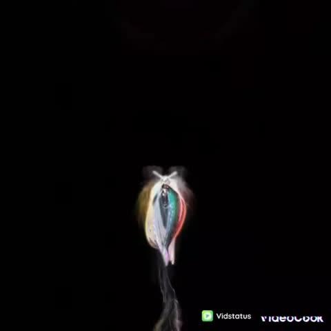 Post by Hari sharma Sharma