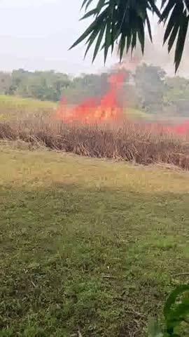 ram pur parori west jowala aag