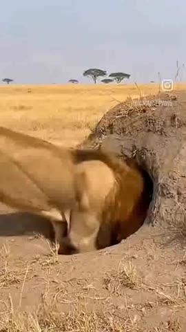 Post by भगाराम देवासी