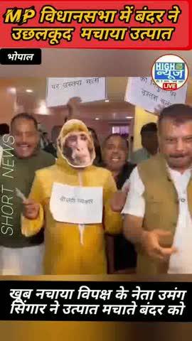 MP विधानसभा में घुसा बंदर जमकर मचाया उत्पाद खूब छकाया विपक्ष नेता उमंग सिंगार ने बंदर को#highnewdofficial #viral #bhopal #viralvideo