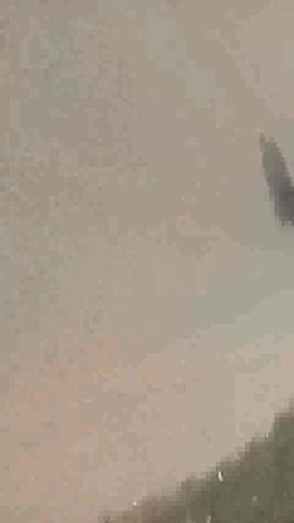 ye najara hai housing board coloney ke bahar ka  gram panchayat sargao ka jaha gandgi pasri hue hai.maveshi janwar plastik kha rahe hai jo janlewa hai.dusri taswir godhanpur ward number-5 ka hai jaha gandgi ka aalam hai.khas report himanshu raj journlist ambikapur.7805838076.