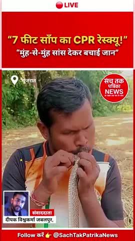 🐍 7 फीट के साँप को 25 मिनट तक CPR देकर बचाया—गुजरात में चमत्कारिक रेस्क्यू का वीडियो वायरल
_
Sach Tak Patrika NEWS — संवाददाता: दीपक विश्वकर्मा
_
गुजरात के वलसाड जिले में एक ऐसी घटना हुई, जिसने हर किसी को हैरान कर दिया।
वापी इंडस्ट्रियल एरिया के पास स्थित आमधा गांव में करंट लगने से एक 7 फीट लंबा धामिन साँप बेहोश होकर जमीन पर गिर पड़ा। लोग समझ ही नहीं पाए कि यह साँप बच पाएगा या नहीं।
_
लेकिन इसी बीच मौके पर पहुंचे वन्यजीव रक्षक मुकेश बायड ने कुछ ऐसा किया, जिसे देख लोग दंग रह गए।
---
🔥 मुकेश ने 25 मिनट तक दिया CPR – मुंह से मुंह लगाकर साँसें दीं
प्रत्यक्षदर्शियों के अनुसार, करंट लगने के बाद साँप पूरी तरह निष्क्रिय हो गया था।
मुकेश बायड, जो वाइल्ड रेस्क्यू ट्रस्ट के सक्रिय सदस्य हैं, तुरंत रेस्क्यू में जुट गए।
मुकेश ने—
साँप को सीने से उठाया
उसका मुँह साफ किया
मुंह-से-मुंह सांस दी (mouth-to-mouth respiration)
लगातार 25 मिनट तक CPR (कार्डियोपल्मोनरी रेससिटेशन) करते रहे
यह कार्य बेहद जोखिमपूर्ण था, क्योंकि सांप जैसे वन्यजीव को इतने नज़दीक से संभालना मुश्किल होता है।
---
⚡ फिर हुआ चमत्कार—साँप ने हिलना शुरू किया
लगातार CPR के बाद लगभग 25वें मिनट में साँप ने हल्की हलचल की, फिर उसने धीरे-धीरे शरीर को मोड़ना शुरू किया।
कुछ ही देर में साँप पूरी तरह होश में आ गया।
मौके पर मौजूद लोग इस दृश्य को देखकर दंग रह गए।
---
🌐 वीडियो सोशल मीडिया पर वायरल
घटना का वीडियो सोशल मीडिया पर तेजी से वायरल हो रहा है।
लोगों ने मुकेश बायड की तारीफ करते हुए कहा—
“यह इंसानियत की मिसाल है”
“जानवरों के लिए इतना बड़ा जोखिम कम ही लोग उठाते हैं”
“मुकेश जैसे लोग समाज की असली शक्ति हैं”
मुकेश बायड का कई वर्षों से वाइल्डलाइफ़ रेस्क्यू में महत्वपूर्ण योगदान रहा है और वे नियमित रूप से सांपों सहित कई वन्यजीवों को बचाते हैं।
---
📍 घटना कहाँ हुई?
स्थान: आमधा गांव
जिला: वलसाड, गुजरात
एरिया: वापी इंडस्ट्रियल ज़ोन
---
🐍 धामिन साँप क्या होता है? (Short Info)
धामिन (Rat Snake) भारत में पाया जाने वाला बड़ा, तेज़ और मनुष्य के लिए पूरी तरह निर्दोष और गैर-विषैला सांप है।
यह चूहे खाकर खेतों की रक्षा करता है, इसलिए इसे "किसान का दोस्त" भी कहा जाता है।
---
🟢 लोग क्यों तारीफ कर रहे हैं?
✔ एक बेहोश वन्यजीव को 25 मिनट सांस देना साहस की बात है
✔ इंसानियत और जीवदया का दुर्लभ उदाहरण
✔ जोखिम के बावजूद पूरी प्रोसेशन और तकनीक से CPR किया
✔ वीडियो ने लाखों लोगों को प्रभावित किया
---
📝 Sach Tak Patrika NEWS का निष्कर्ष
गुजरात की इस घटना ने दिखाया कि यदि हिम्मत और इंसानियत हो—
तो जिंदगी किसी भी रूप में क्यों न हो, बचाई जा सकती है।
वन्यजीवों के प्रति संवेदनशीलता और जागरूकता की यह घटना समाज के लिए प्रेरणा है।