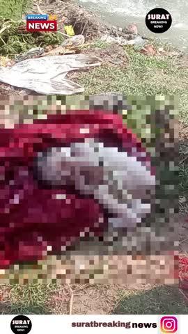સુરત:સચિન મુલ્લા ડાઇંગ પાસે મૃત નવજાત શિશુ મળતા ચકચાર,સચિન નહેરના કિનારે આસરે 8 માસનું નવજાત શિશુ મૃત હાલતમાં મળી આવતા પોલીસ ઘટના સ્થળે પહોચી તપાસ હાથધરી.