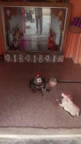 भी खे स्वऱ मंदिर झींझक स्टेशन से खानपुर मार्ग ग्राम मुंडेरा किन्नर सिंह मौजा मे यह मंदिर आता है यह मंदिर 150 वर्ष पुराना है इस कुएं से सन 1995 में भी पानी पिया जाता था यहां के महंत बाबा जय नारायण दास