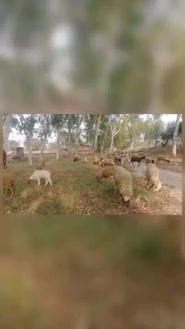 Please Like Share Comment and subscribes me 💯💯💯💯💯💯