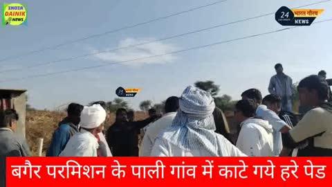 पाली गांव में किसने काटे हरे पेड़