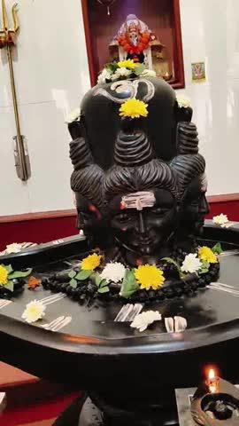 🌿🌼‼️सुप्रभात