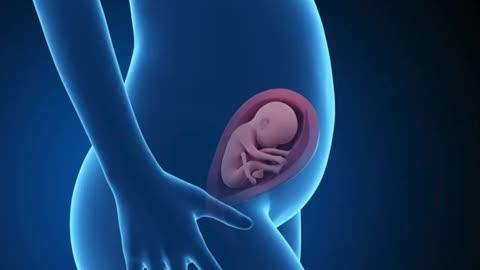 பெண்களுக்கு கர்ப்ப காலங்களில் மருத்துவர் ஆலோசனை எவ்வளவு முக்கியம் இதற்கான மருத்துவ காரணங்கள் என்ன. பிரசவ நேரங்களில் உருவாகும் பிரச்சனைகள் என்ன என்பதை பற்றிய காணொலி.