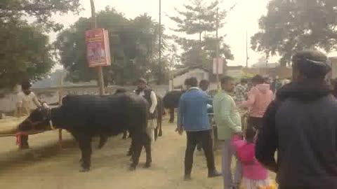 अम्बेडकर नगर आलापुर विधानसभा क्षेत्र के अहिरौली में महात्मा गोविंद साहब मेला में श्रद्धालु कि भीड़ बहुत कम दिखाई दे रहा है रविवार का दिन होने पर भी श्रद्वालुओं का संख्या कम दिखी