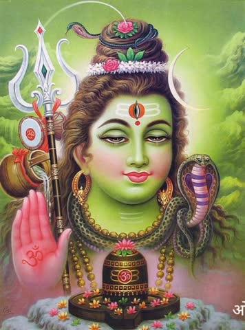 बैक्टीरिया एक कोशिकीय जीव 
नया आकार जन्म दे सकता हैं