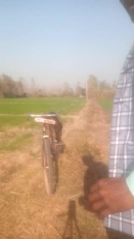 good afternoon 🌞🙏🇮🇳