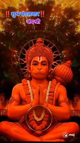 तीनो लोक तेरा उजियारा 🌺🚩