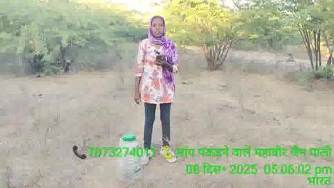 🙏🏻 जय श्री कृष्णा मेरे ☎️ मोबाइल नंबर हे  👉🏻 7073274011 व 73 57 57 07 07 🗓️  आज ( 8  ) दिसंबर 2025 को  👉🏻 पाली के 📍पुनायता रोड  स्थित एक फैक्ट्री में 🐊 चंदन गो , मॉनिटर्स लिजर्ड  आ गई  थी गौभक्त  पुरुषोत्तम जी महाराज  द्वारा 📞 सूचना मिलने पर में 🚨 तुरंत मौके पर पहुंची और  🐊 मॉनिटर्स लिजर्ड को रेस्क्यू किया ☺️  💃🏻 दिव्या जैन मेरा नाम हे और पाली जिले की पहली ओर  एकमात्र 💃🏻 महिला हु जो इन बेजुबानों का जीवन बचाने का काम करती हु 🗓️  2020 से में ये काम कर रही हु ,  इस 🐊  मॉनिटर्स लिजर्ड को पाली के दूर जंगल में छोड़ रही हु , सांप पकड़ने वाले महावीर जैन टीम पाली 🙏🏻