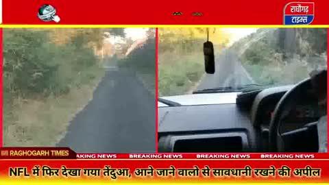 NFL परिसर में तेंदुए की दोबारा दस्तक, वीडियो वायरल, वन विभाग अलर्ट
.
.
.
.
#raghogarh #Leopard #NFLEmergency #WildlifeAlert #ForestDepartment
#LeopardSpotted #BreakingNews #WildlifeRescue
#GunaNews #MPNews #DangerAlert #ViralVideo
#ForestTeam #WildLifeConservation #NewsUpdate
#GunaLive #SafetyFirst #NewsAlert