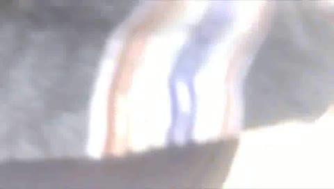 गंगापुर सिटी गुड मॉर्निंग हैप्पीनेस ग्रुप के द्वारा जीव जंतु प्रकल्प के तहत गोपाल गौशाला नहरोड गंगापुर सिटी में गोवंश के लिए हरी सब्जियां आलू आदि चारा खिलाया गया