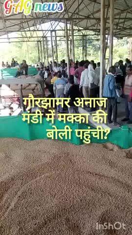 मक्का फसल बेचने गौरझामर मंडी से मिले भाव रहे आज?