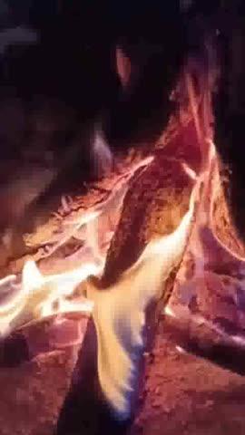 Jay mata di 🙏🚩