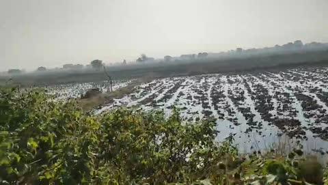 ब्रेकिंग न्यूज 
वायरल वीडियो 
नहर फूटने से किसानों की फसल बर्बाद हो रही होने के कगार पर।
ग्राम बरगुवां तहसील इंदरगढ़ जिला दतिया नहर फूट गई खेतों में पानी भर गया किसान परेशान है कोई सुन नहीं सुनने वाला नहीं है