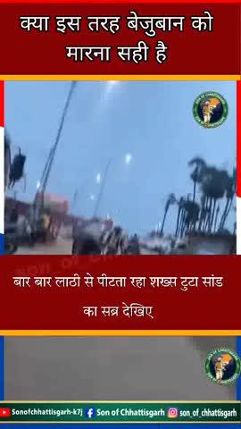 बार-बार लाठी से पीटता रहा शख्स… आखिर टूट गया सांड का सब्र, फिर हुआ तांडव!
#सांडकाSabraटूटा #अत्याचारकापरिणाम #ViralVideo