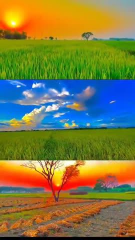 Post by Bhavesh Kumar