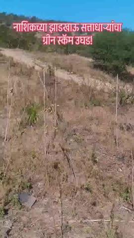 नाशिक येथे सरकारचं निसर्ग प्रेम उघड..
बघा