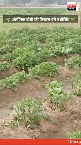 अपने आसपास की हर छोटी बड़ी खबरों को देखने के लिए मेरे चैनल को ज्यादा से ज्यादा फॉलो करें! (7007468543)
1/ instagram 
https://www.instagram.com/amankesharwani92018?igsh=bzhtdWN1bm1kMGRt&utm_source=qr
2/ https://www.facebook.com/share/1BaiEoAgSb/
आप लोगों से निवेदन है कि मुझे अपना बहुमूल्य समय दे कर मेरे पेज को ज्यादा से ज्यादा फॉलो करें जिससे मुझे ताकत मिले और मैं आपके आसपास की हर छोटी बड़ी खबरों को प्रकाशित कर आपकी आवाज बन सकूँ!
*अमन केसरवानी पत्रकार ( 7007468543)*