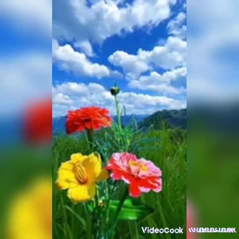 Post by Hari sharma Sharma