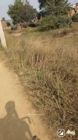 Post by Nitish kumar (arwal)