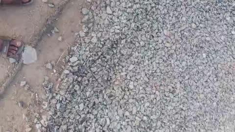 ग्राम पंचायत bhonakpur जिला auraya