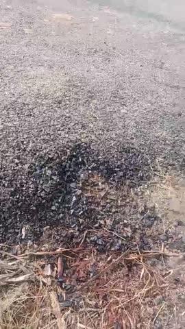 ग्राम पंचायत bhonakpur जिला auraya