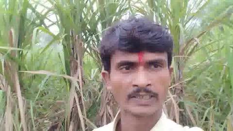 काजल अमरपाली पंख के लिए हुआ है विवाद💚👍🌄