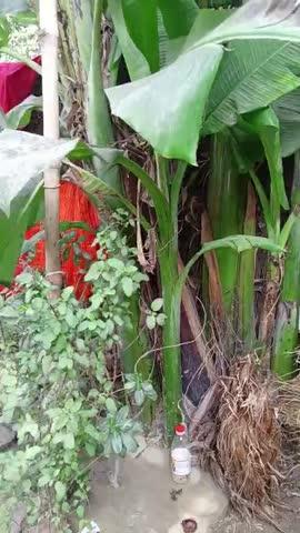 Post by अमरजीअहिरान