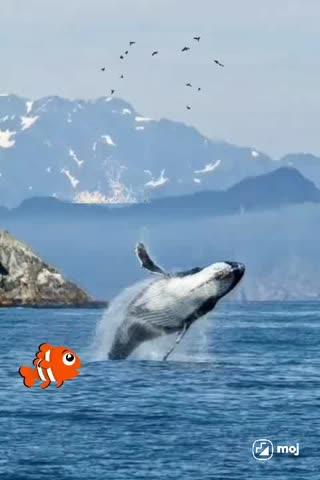 Post by டேவிட் அந்தோனி