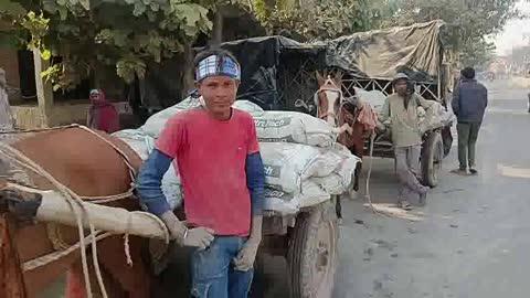 औरैया में तालाब में चड्ढा टॉकीज के सामने नगर पालिका की दुकानों का निर्माण कार्य चल रहा है निर्माण कार्य के लिए रखी हुई सीमेंट में 40 बोरी सीमेंट अन्य स्थान पर पहुंचाई गई जबकि अभी दुकानों का निर्माण कार्य अधूरा है एवं अधूरे निर्माण में ही बोली लगा शुरू हो गया नीलामी निकाल दी गई नगर पालिका परिषद औरैया के द्वारा अभी तक कुछ दुकाने उठाई जा चुकी है बोली लगाकर