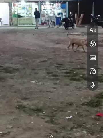 Post by Vijay studio sarai