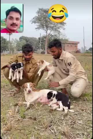 वीडियो सिर्फ हंसी मजाक के लिए है#🥰😄😂🤪🤣#हसू और हंसाओ